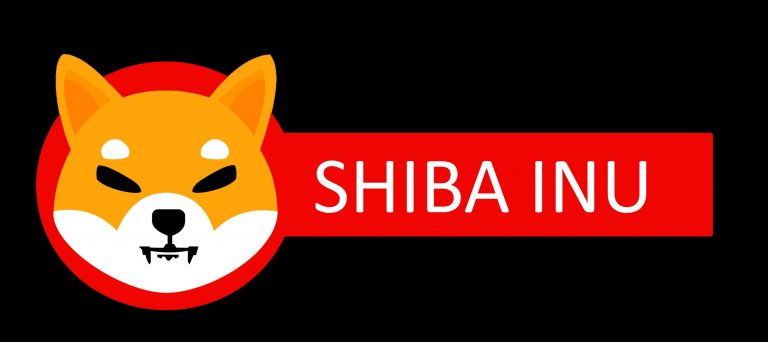 Shıba Nedir ? INU Nedir ? Shıba  Nasıl Alınır ? Shiba !