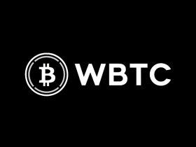 WBTC Coin nedir