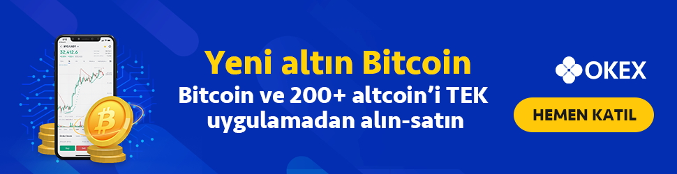 Gemini Dollar Coin Nedir