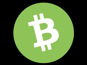 Bitcoin Cash Coin Toplam Arz