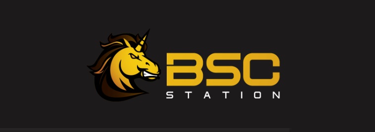 BSC Station Nedir ? BSCS Coin Nasıl Alınır ?