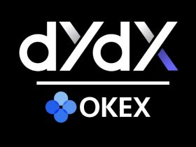 dydx coin nasıl alınır