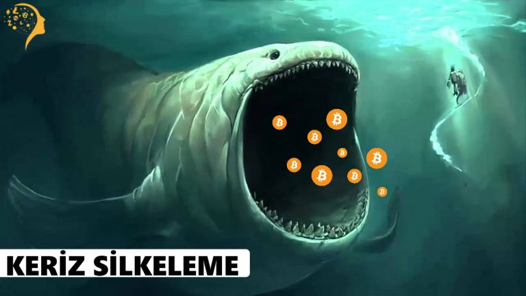 Keriz Silkeleme Nedir ? Kripto Paralarda Keriz Silkeleme !