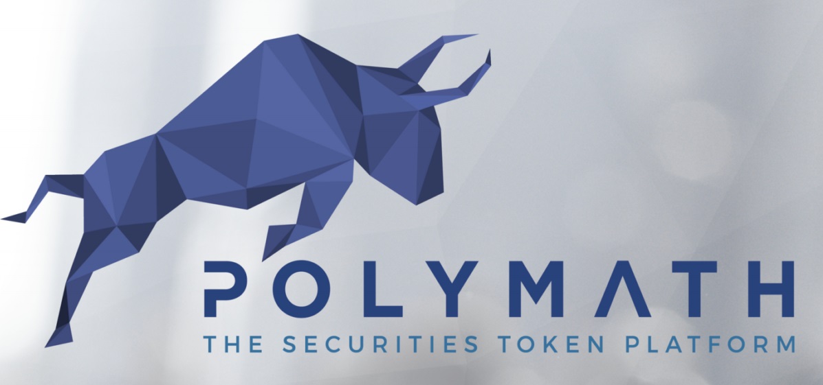 POLY Coin Kaç TL