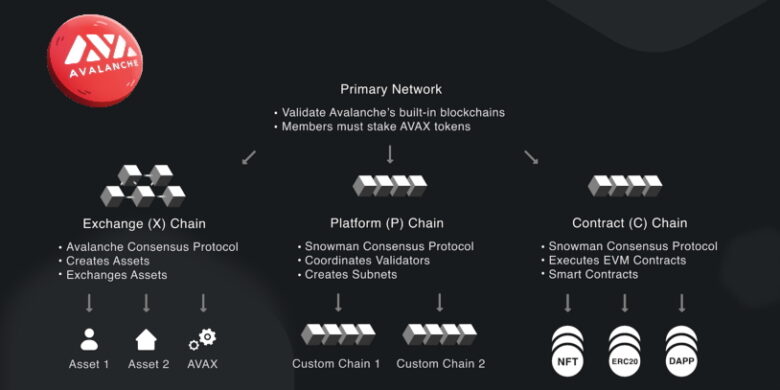 Avax C Chain Nedir ? Avax C , P , X Chain Nedir ? - Bilgi Kripto