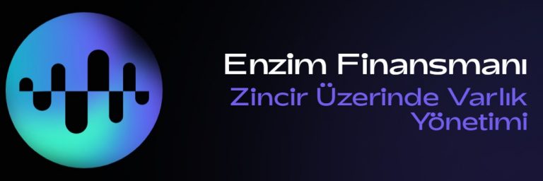 Enzyme Coin Nedir ? MLN Coin Kaç TL ?