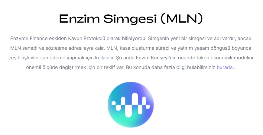 mln coin kaç tl