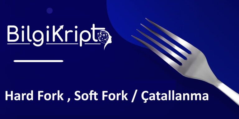 Soft Fork ve Hard Fork Nedir ?