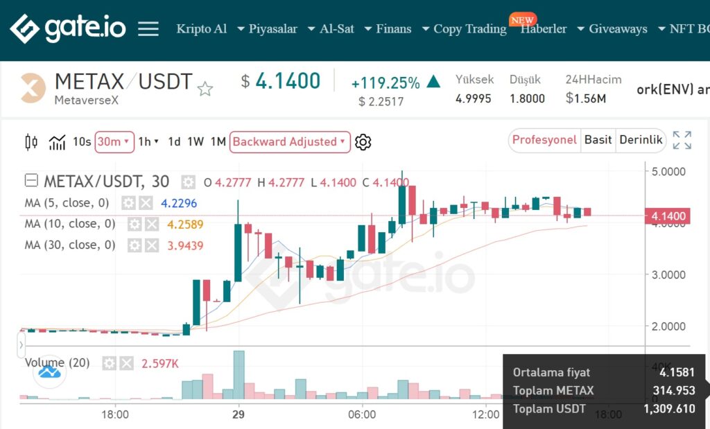 metax coin nedir