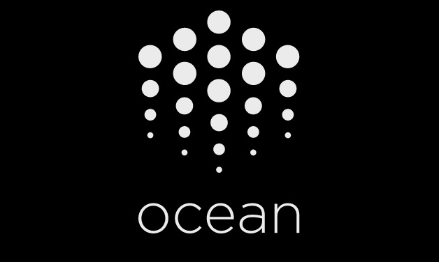 Ocean Protocol Nedir ? OCEAN Coin Kaç TL ?