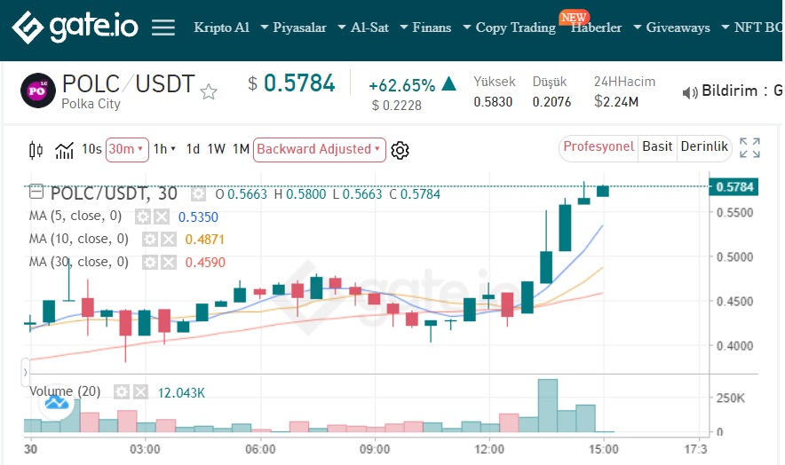 polc coin nedir