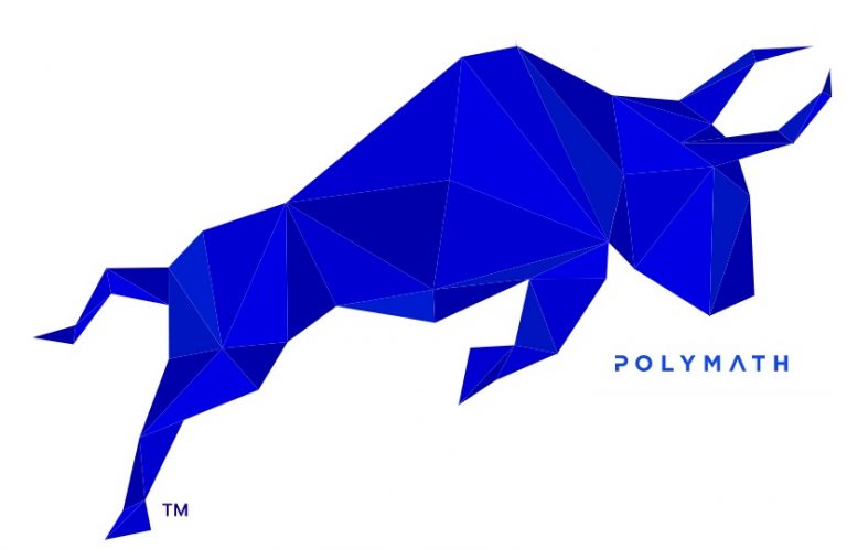 Polymath Nedir ? POLY Coin Kaç TL ?