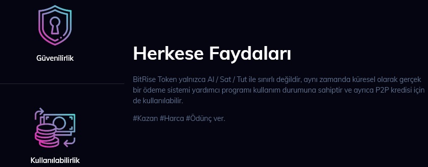 brıse token hangi borsada