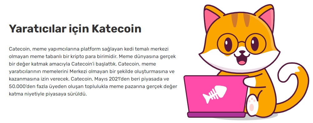 Cate Coin Nedir ? CATE Toplam Arz ! CATE Coin Nasıl Alınır ? CATE Hangi Borsada ? CATE Kaç TL ? 