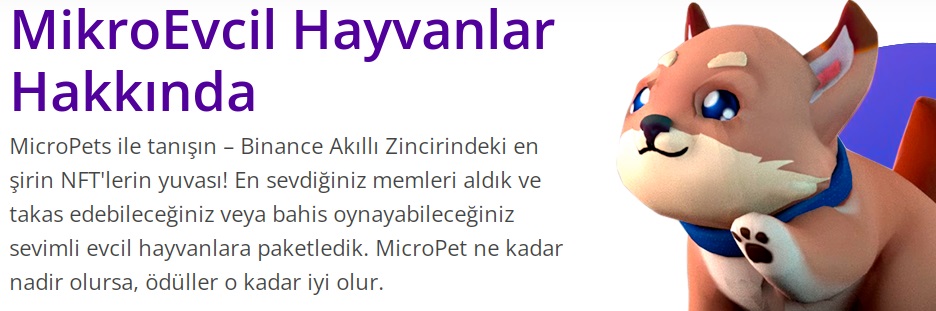 micro pets nedir nasıl alınır