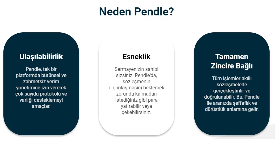 pendle coin kaç tl