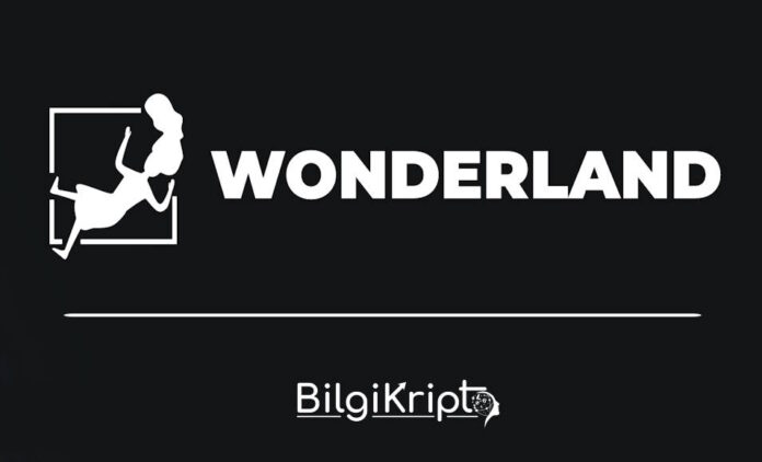 wonderland time coin nedir, yorum, yorumları, analiz, fiyat geleceği, tahminleri, tahmini temmuz, ağustos, eylül, ekim, kasım, aralık 2023, 2024, 2025, 2026, 2027, 2028