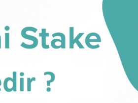 STAKE Coin