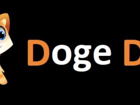 Doge Dash Token Nedir
