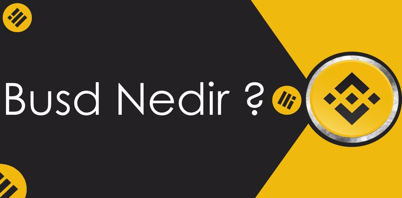 busd coin nedir