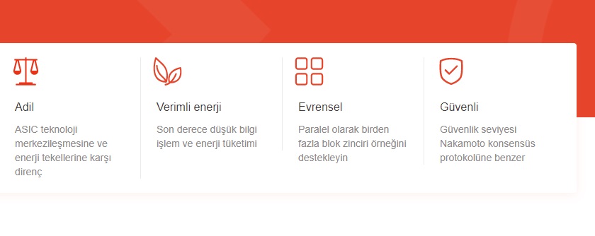 massnet coin nedir