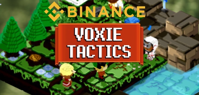 voxel token nedir