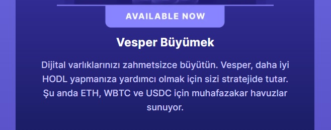 vsp coin nedir