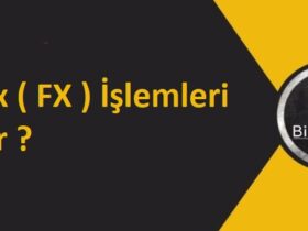 Forex ( FX ) İşlemleri nedir