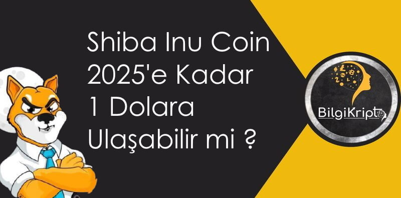 shiba coin 001 dolar
