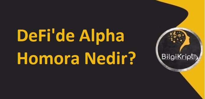 DeFi'de Alpha Homora NEDİR