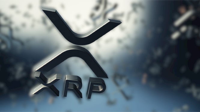 XRP Coin Nedir ? XRP Coin Yorum ve Geleceği! XRP Coin Fiyat ! 