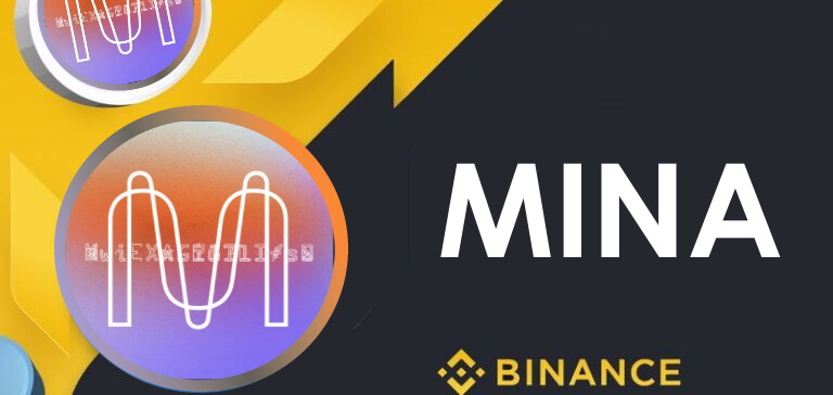 mina coin yorum , grafik , analiz