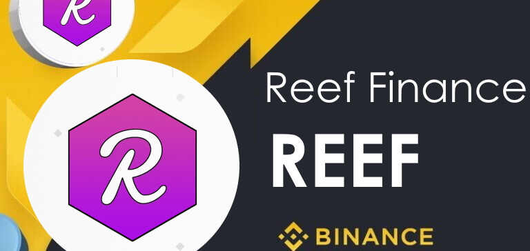 reef coin yorum analiz