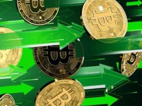 Bitcoin Alma Nedenleri