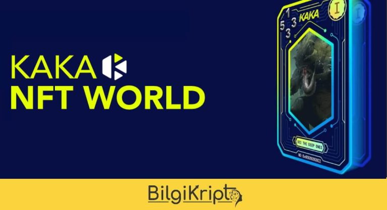 Kaka Coin Nedir?
