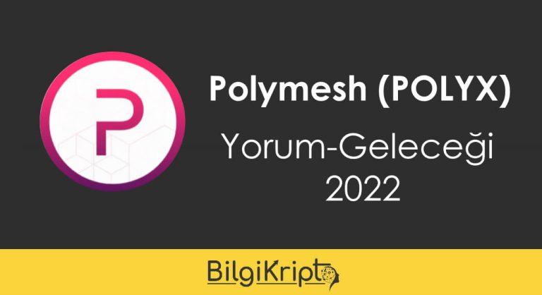 Polyx Coin Yorum, Geleceği 2022
