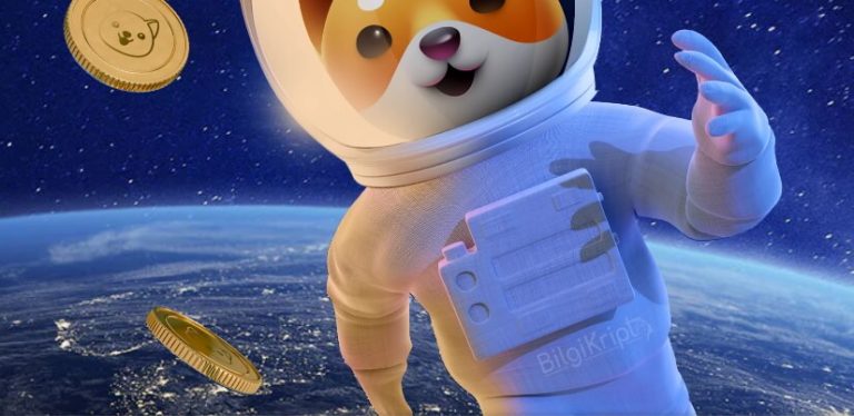 Baby Doge Coin Nedir, Yorum, Geleceği (2023-2025)