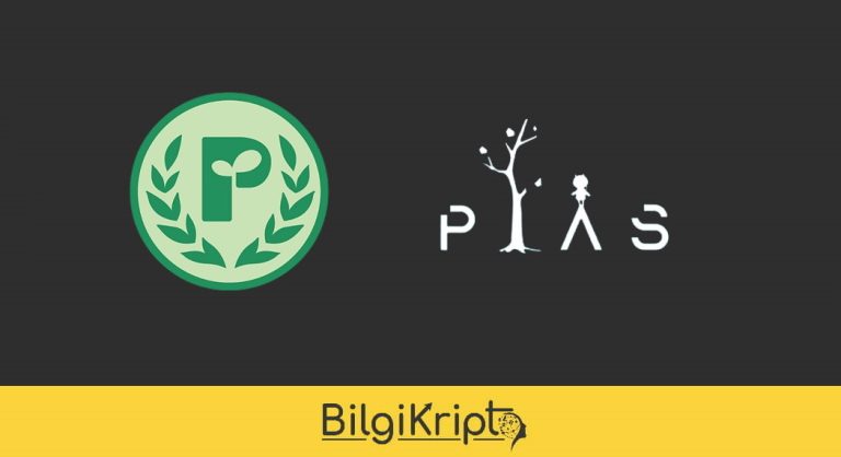 PIAS Coin Nedir?