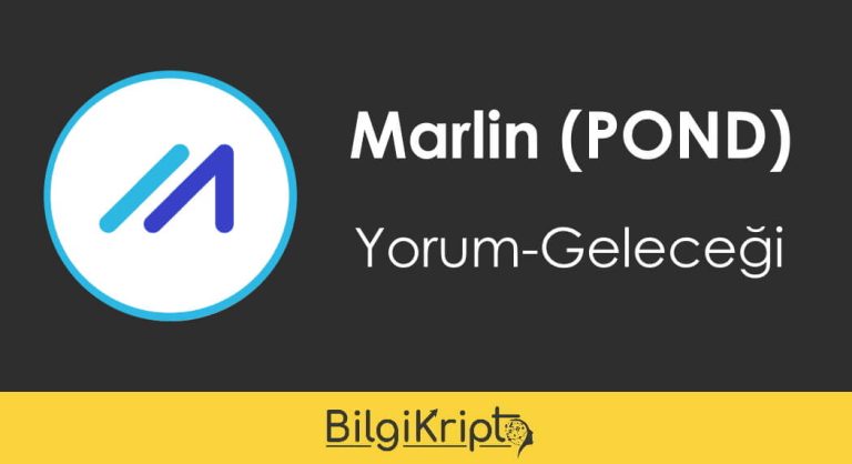 Marlin (Pond) Coin Geleceği, Yorum