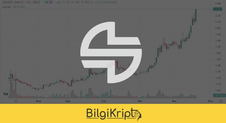 SEGYO Hisse Nedir? SEGYO Hisse  Grafik!