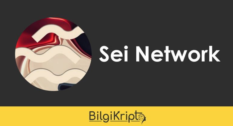 Sei Network Nedir? Sei Coin Yorum, Geleceği ve Fiyat Tahminleri
