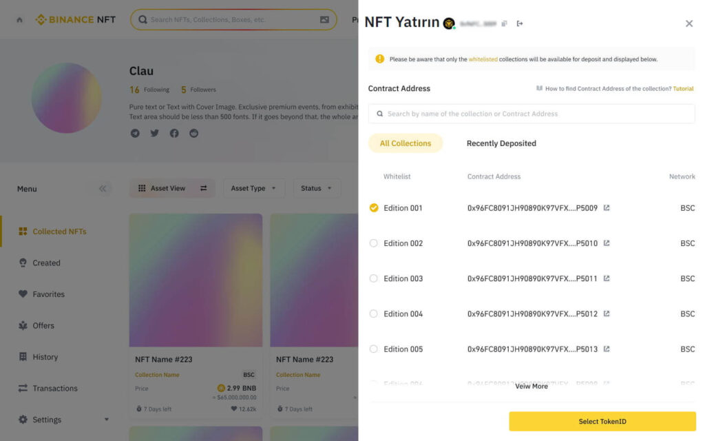 binance nft yatırma 