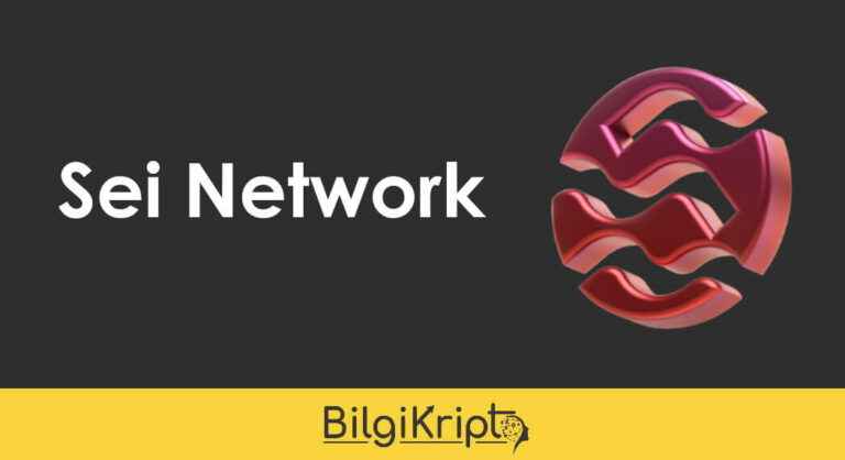 Sei Network – Kurucusu, Yatırımcıları