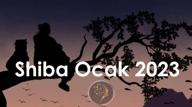 Shiba Inu Fiyat Tahmini Ocak 2023