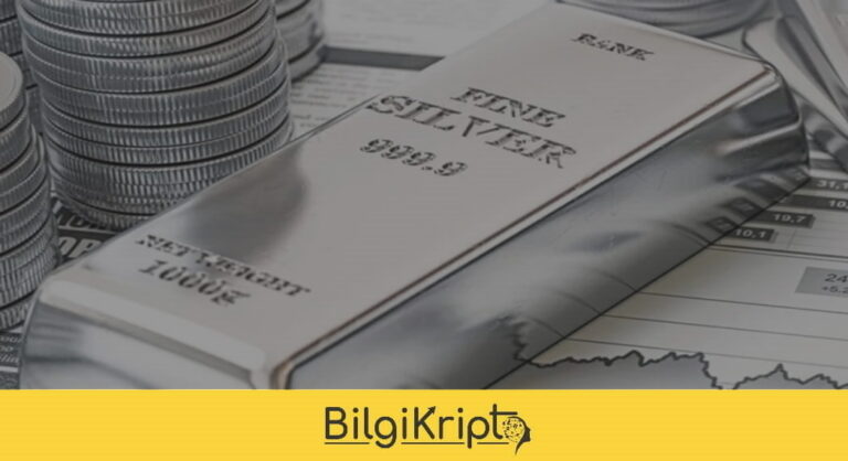 Gümüş Fiyatı 30 Ocak!