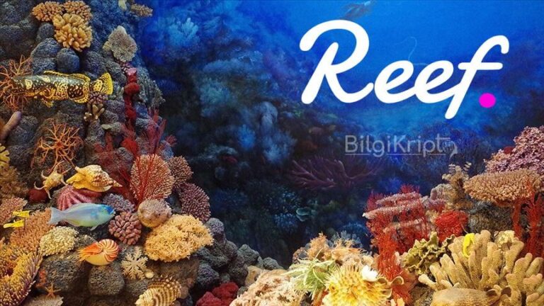 Reef Coin Geleceği 2023, 2024, 2025 – 2030