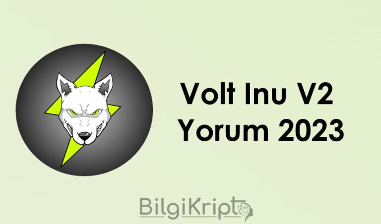 Volt Inu V2 Coin Yorum – Ocak, Şubat 2023