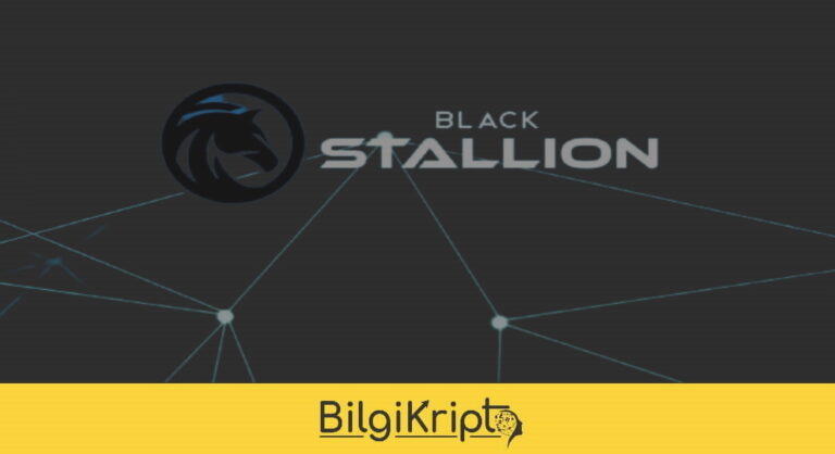 Black Stallion Nedir? BS Coin Yorum, Geleceği!