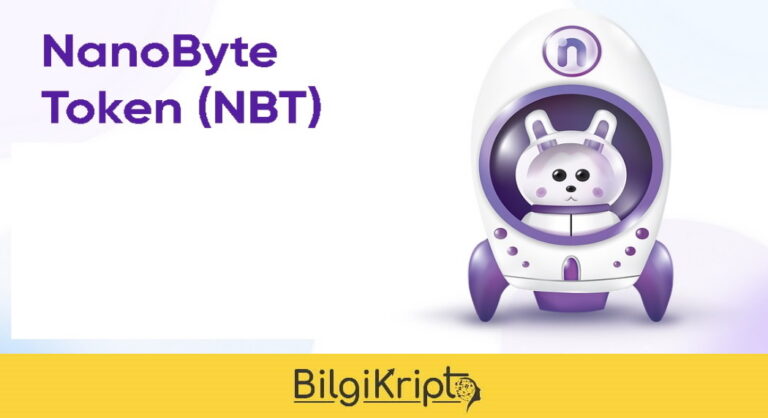 Nanobyte Nedir? NBT Token Yorum Geleceği!