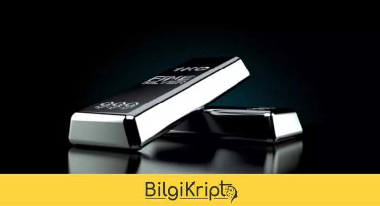 Gümüş Fiyatı 20 Şubat!